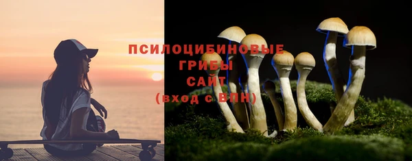 дурь Карпинск