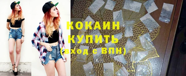 PSILOCYBIN Карталы