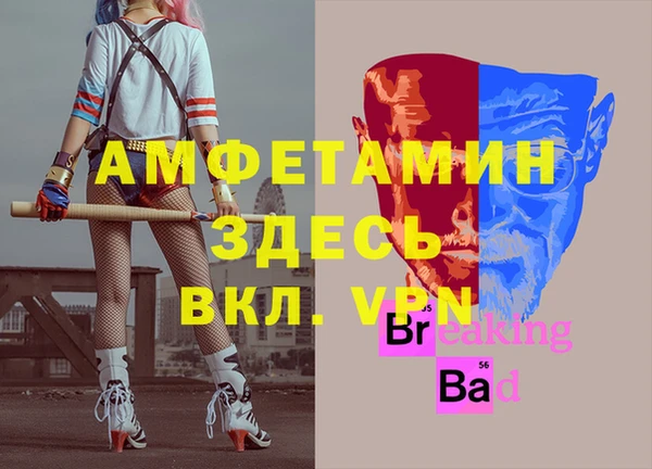 дурь Карпинск