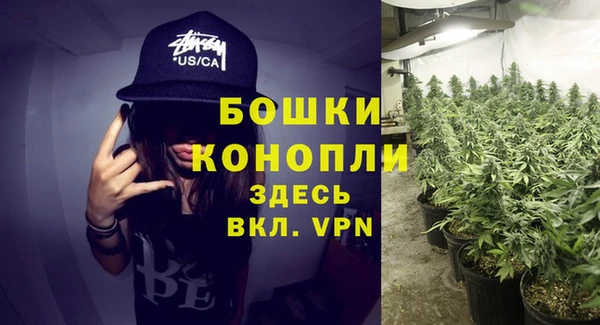 индика Балашиха