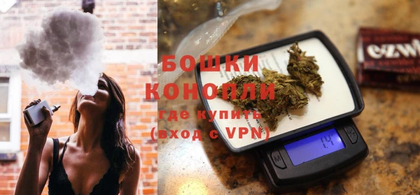гидра Каменногорск