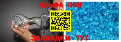 гашик Кингисепп