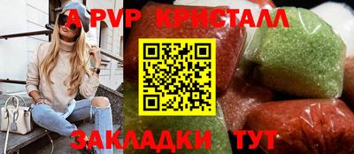 гашик Кингисепп