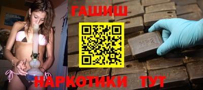 гашик Кингисепп