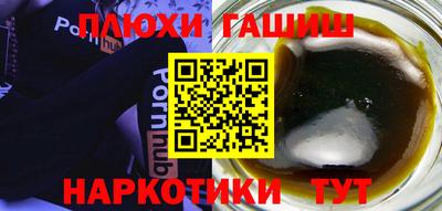 гашик Кингисепп