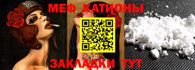 гашик Кингисепп
