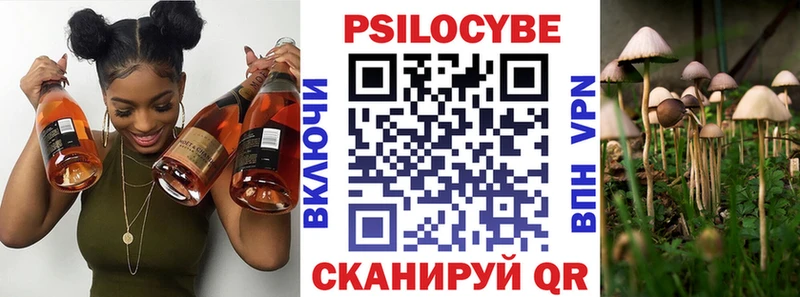ОМГ ОМГ ТОР Мценск Псилоцибиновые грибы мицелий