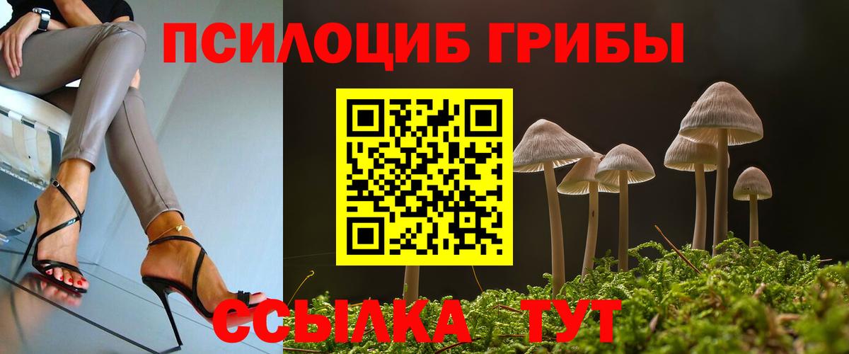 Галлюциногенные грибы MAGIC MUSHROOMS  Вход с VPN  Мценск  Галлюциногенные грибы GOLDEN TEACHER 